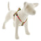 Lupine Step In Dog Harness 3/4" x 15-21" Petunias - Poudre Pet & Feed Supply